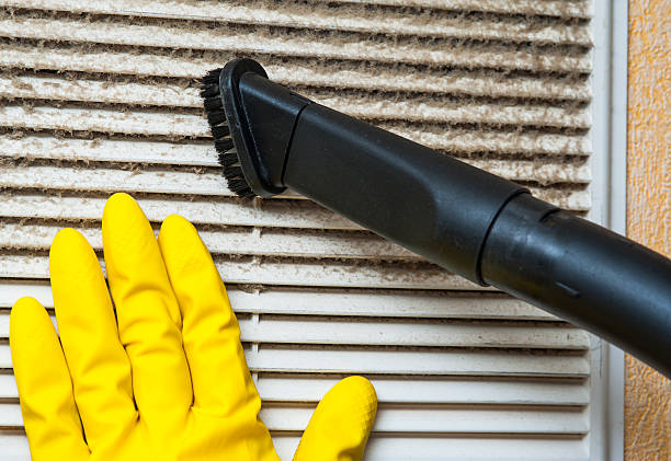 Best HVAC System Cleaning  in Lake Isabella, MI
